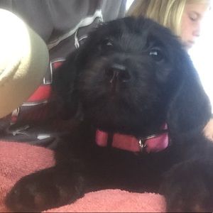 Meet your Posher, Bethany